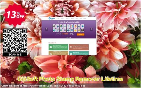 GiliSoft Photo Stamp Remover