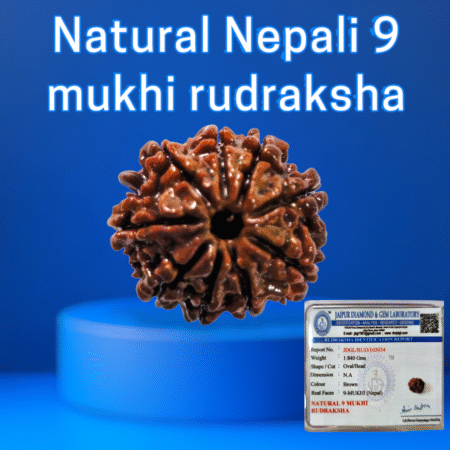 Certified Nepali 9 mukhi rudraksha