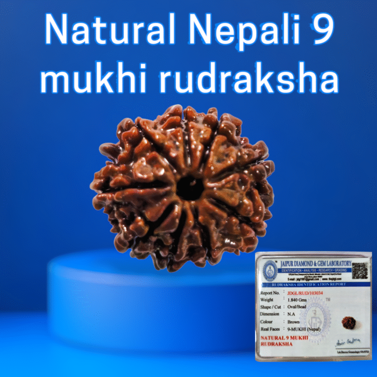 Certified Nepali 9 mukhi rudraksha